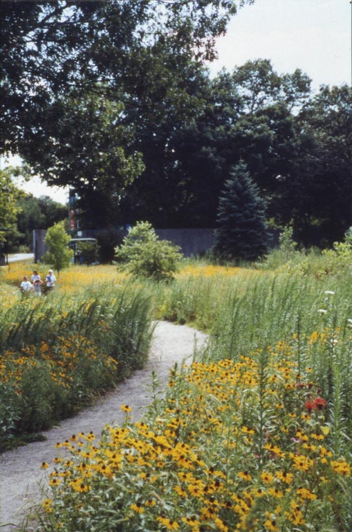 Michael_Singer_Ecotarium_19