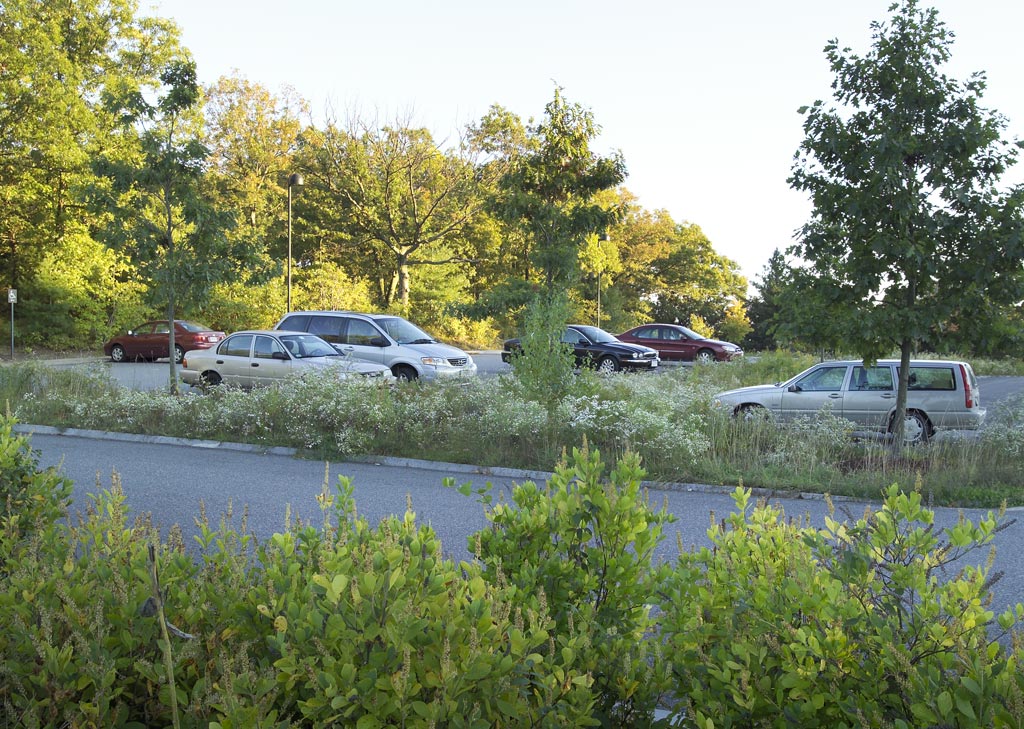 Michael_Singer_Ecotarium_3