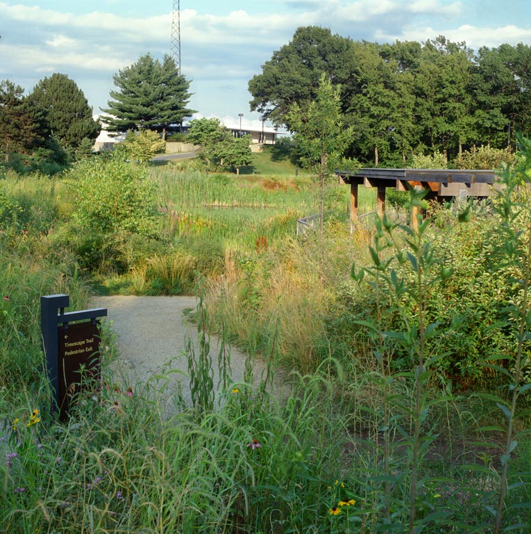 Michael_Singer_Ecotarium_43