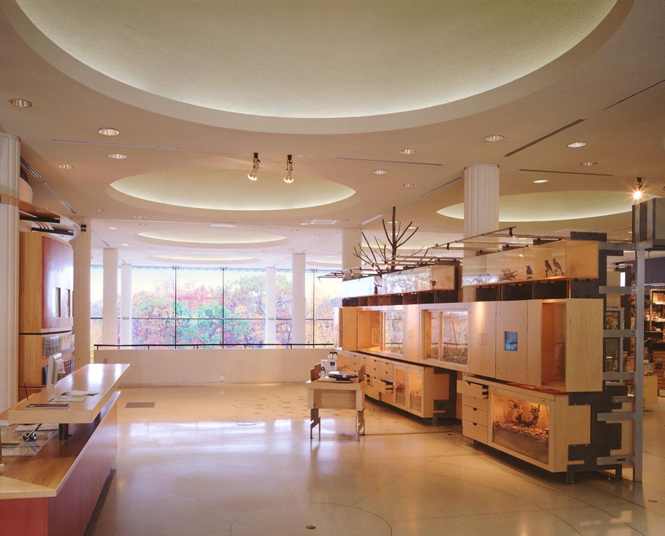 Michael_Singer_Ecotarium_26