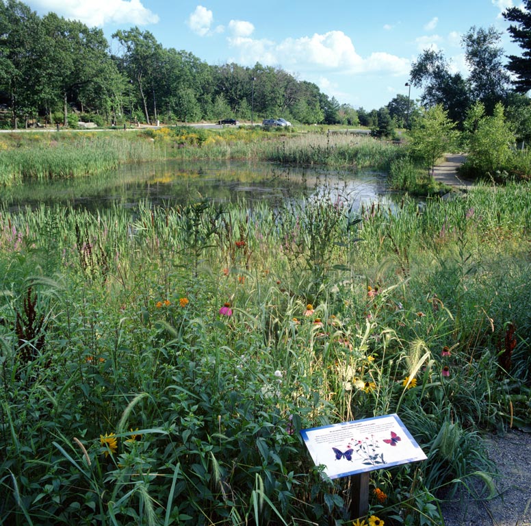 Michael_Singer_Ecotarium_44