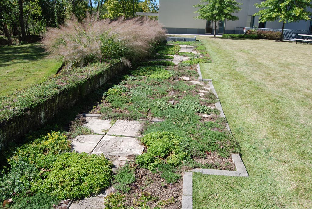 Michael_Singer_FDA_healing_garden_7