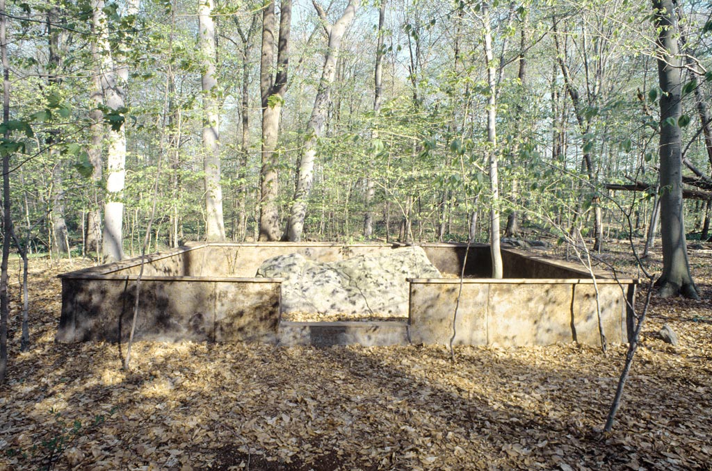 Michael_Singer_Purchase_NY_10