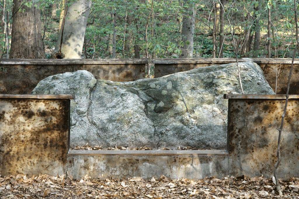 Michael_Singer_Purchase_NY_3