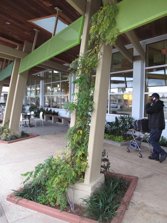 Michael_Singer_Whole_Foods_Market_Jacksonville_2