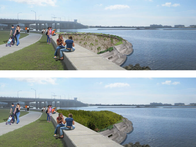 Michael_Singer_Living_Shoreline_Regeneration