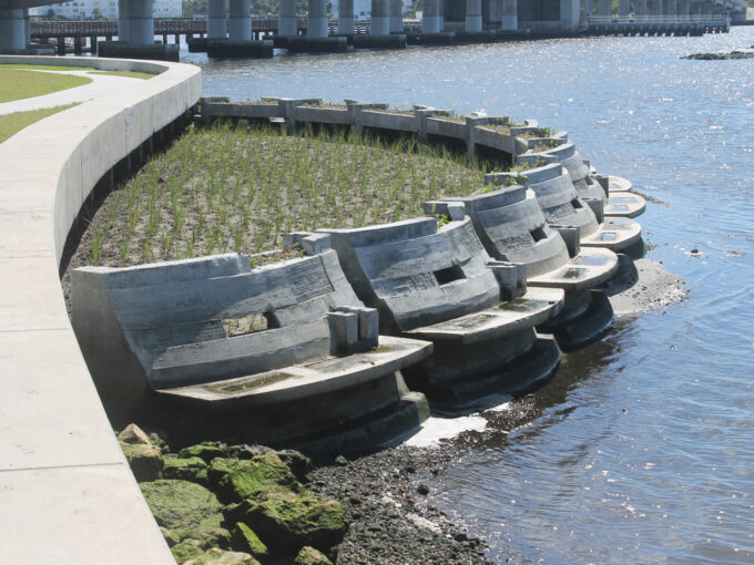 Michael_Singer_Living_Shoreline_Planted