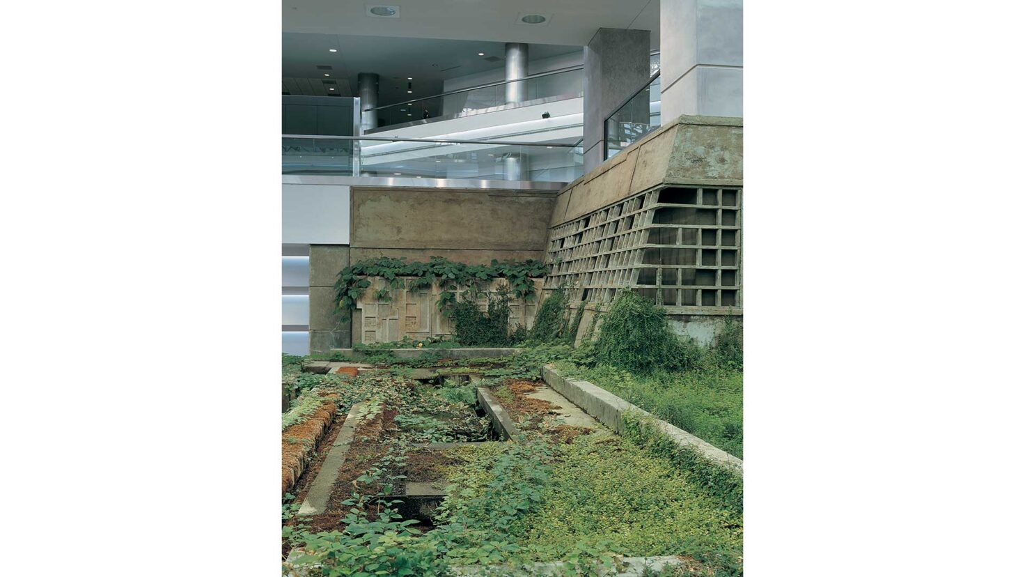 Singer_Studio_Denver_Airport_Atrium_Garden_Denver-1_Desktop_Web