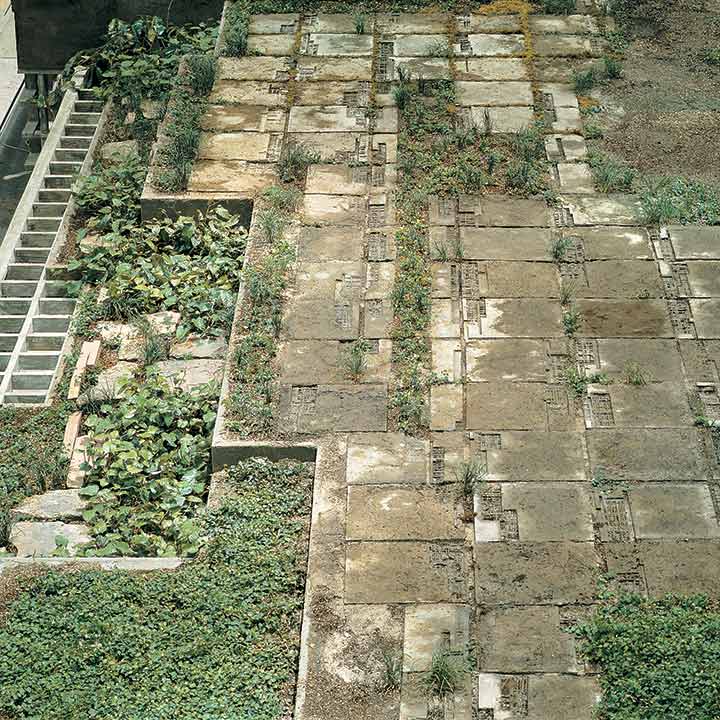 Singer_Studio_Denver_Airport_Atrium_Garden_Denver-8REV2_Mobile_Web