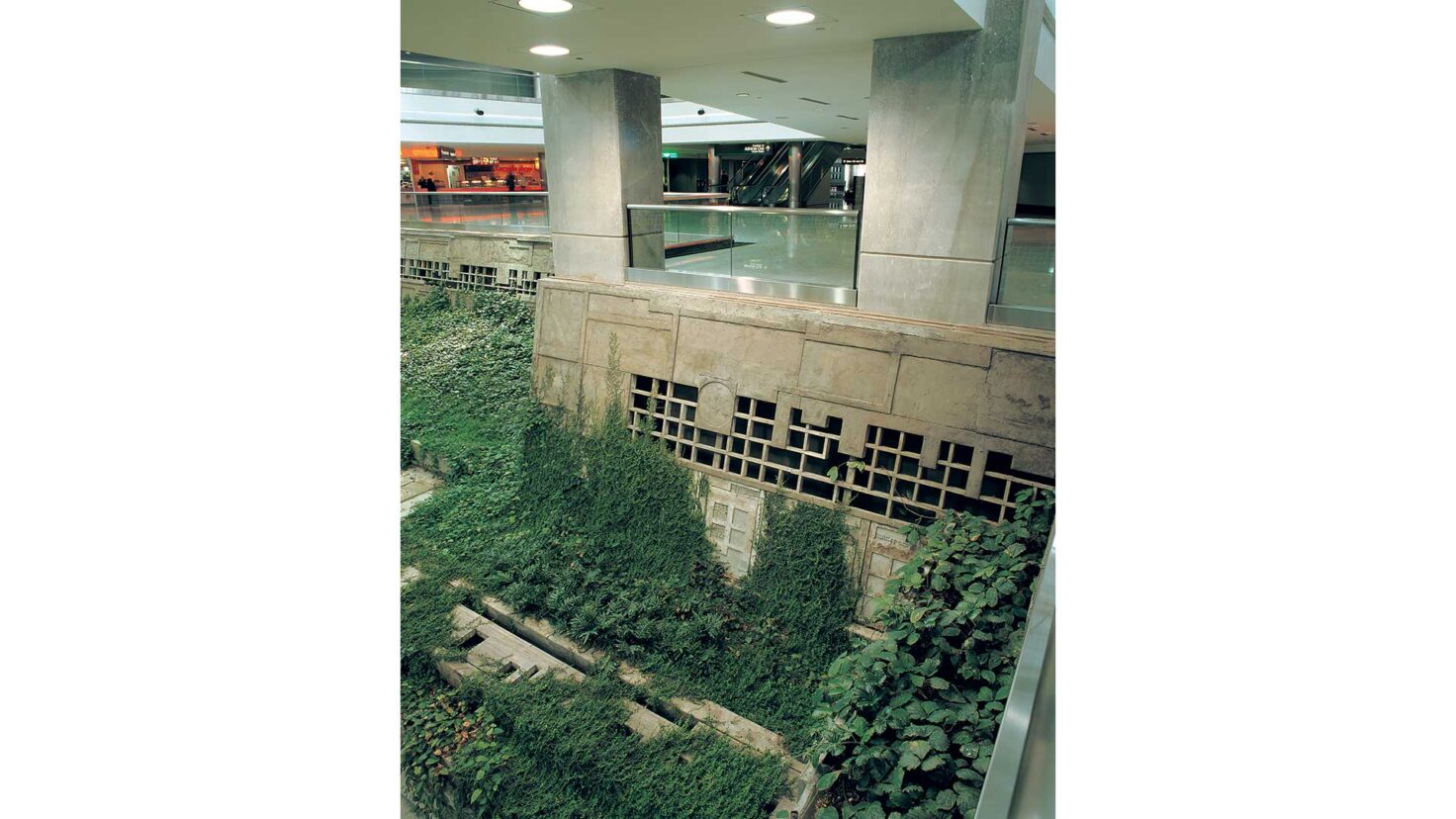Singer_Studio_Denver_Airport_Atrium_Garden_Denver-9_Desktop_Web