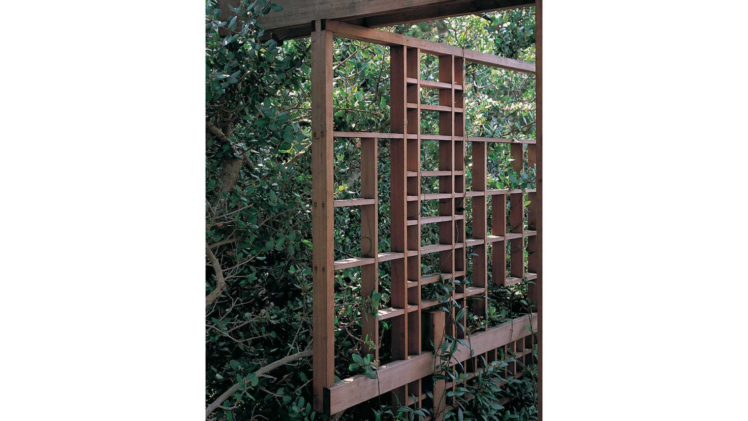 Singer_Studio_LaJolla_Garden-and-Shelter_9_Desktop_Web