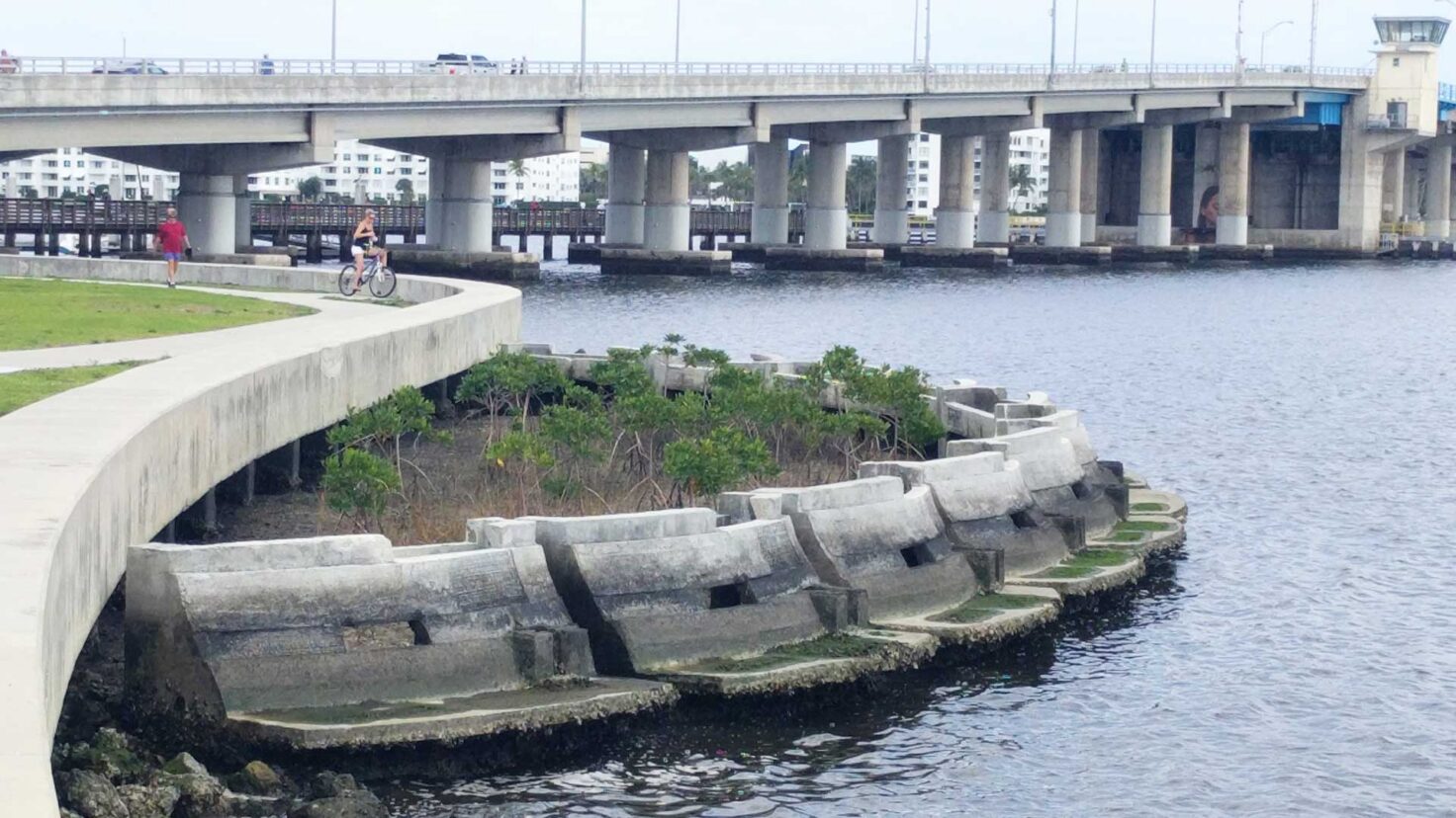 Singer_Studio_Lake_Worth_Living_Shoreline_Mangrove_Planter_Desktop_Web