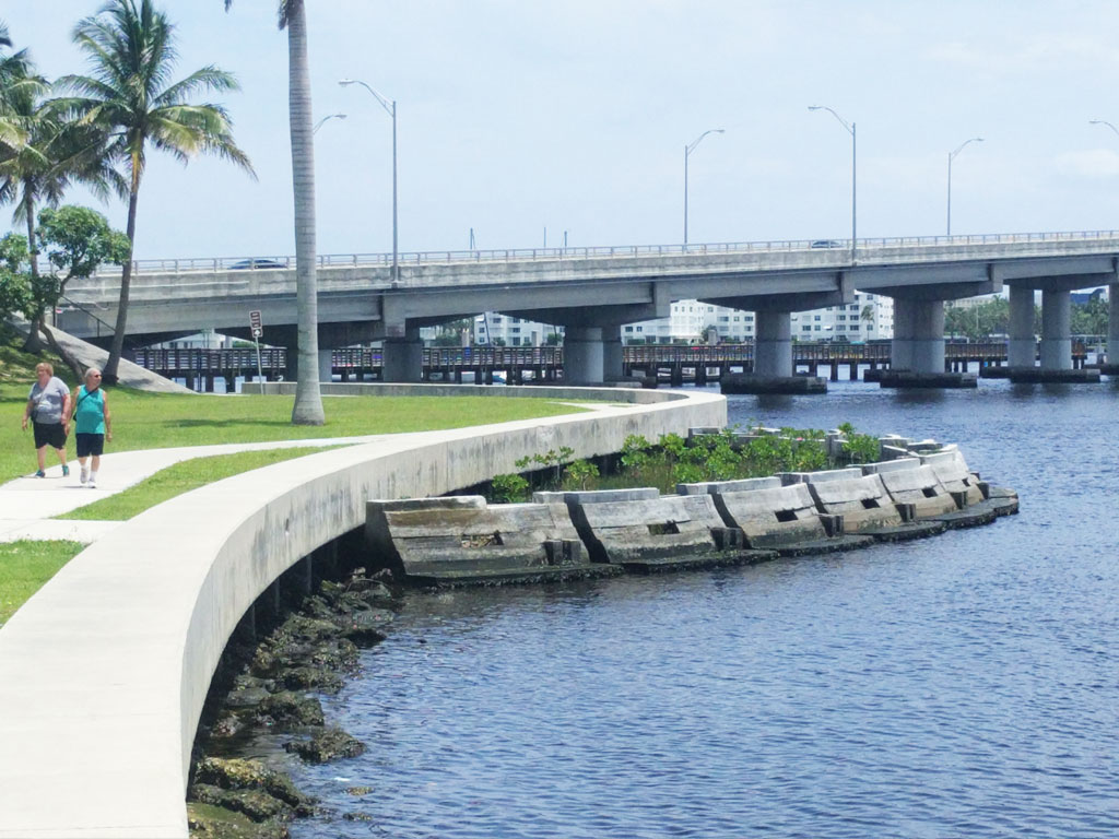 Living Shoreline Regeneration