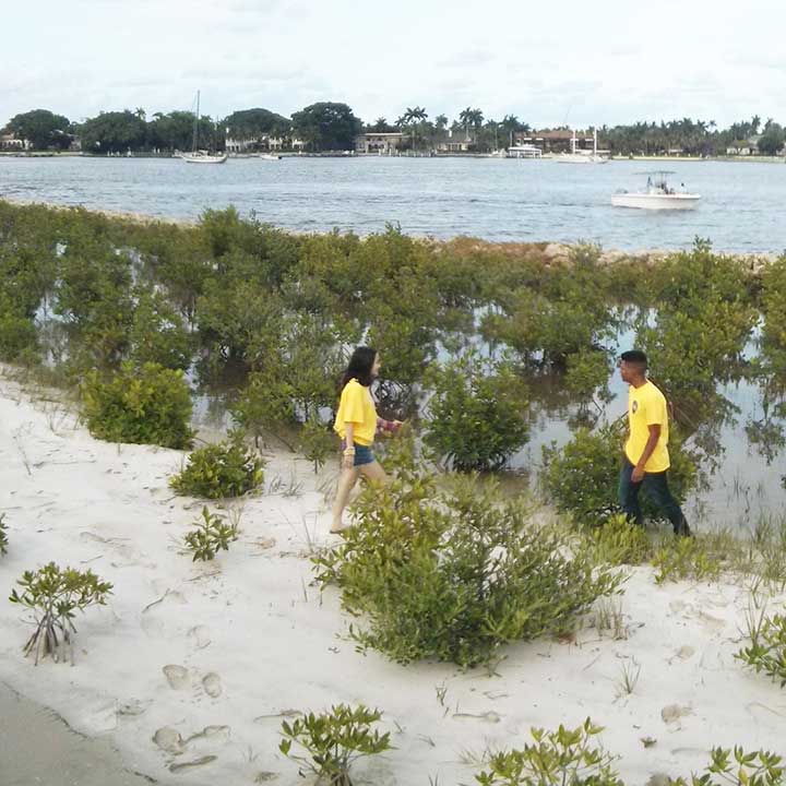 Singer_Studio_South_Cove_05-1MOB