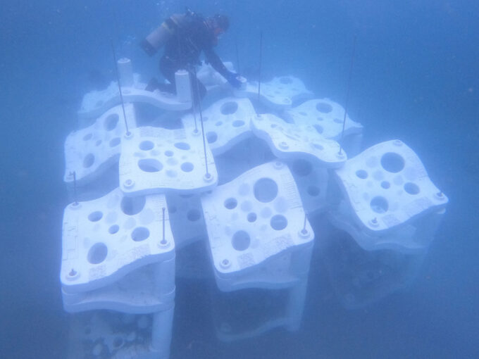 MLSI_Singer_Studio_p1_1w.