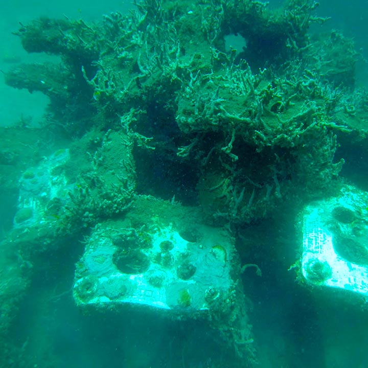 Singer_Studio_West_Palm_Beach_MLSI_ERM_Coral_added_8_22_image3_Mobile_Web