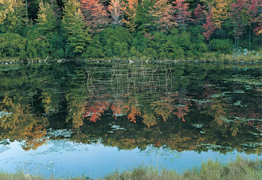 Michael_Singer_Sculpture_Lily_Pond_Ritual_1975