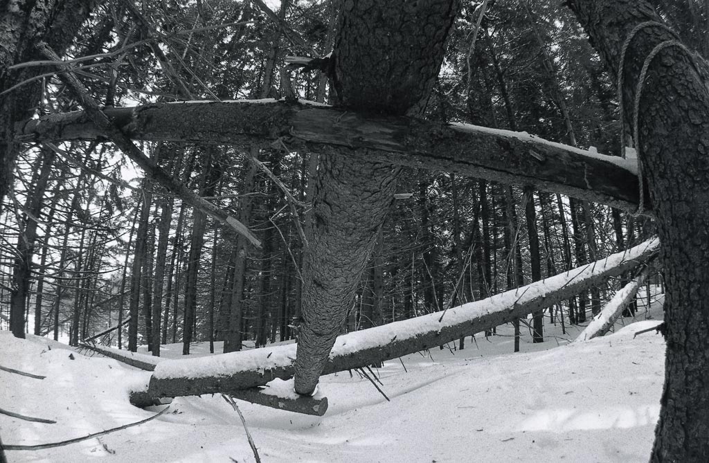 Michael_Singer_Sculpture_Situation-Balance-Series1971_2